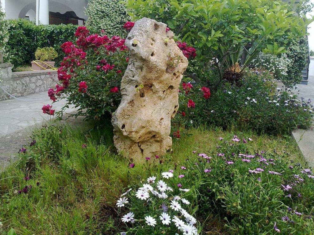 Il Merlo Anacapri  Zewnętrze zdjęcie