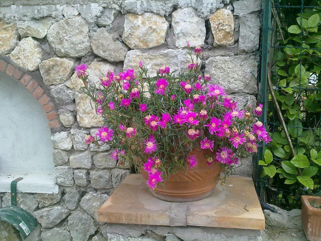 Il Merlo Anacapri  Zewnętrze zdjęcie