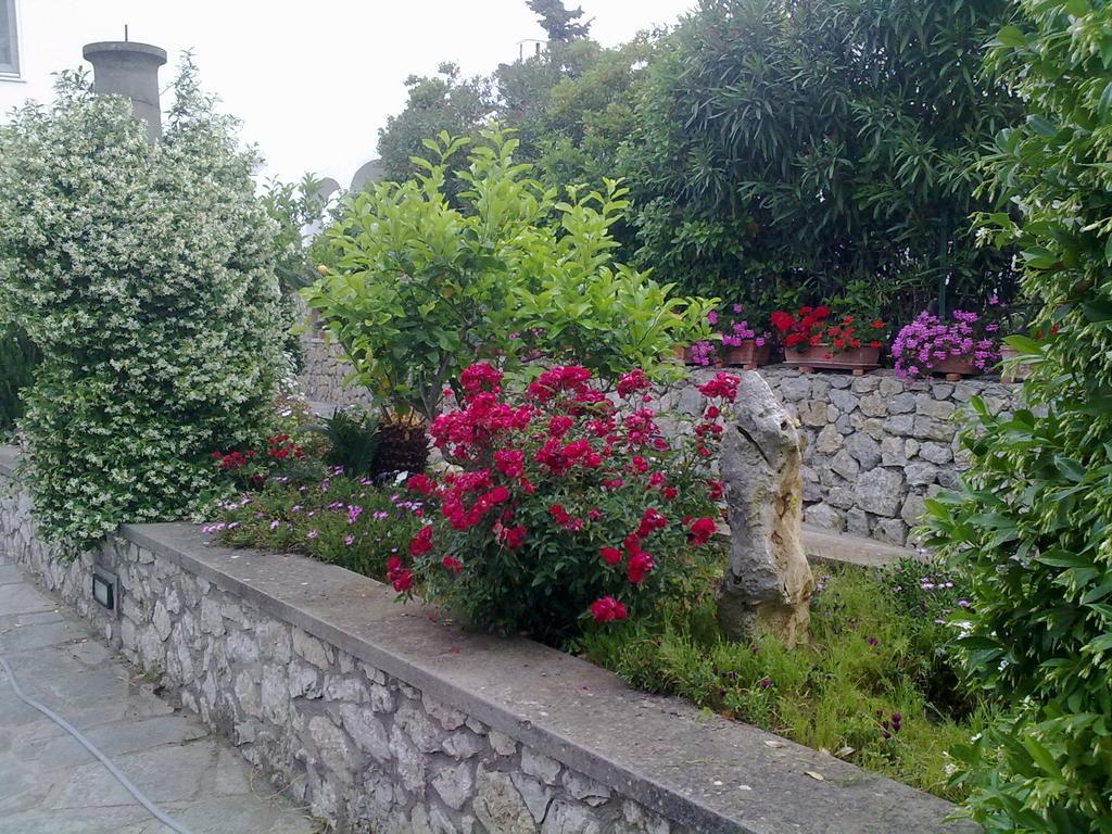 Il Merlo Anacapri  Zewnętrze zdjęcie